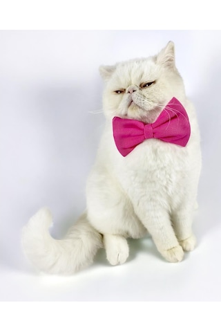 Kemique Pinky Pie Kedi Papyonu