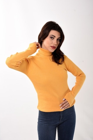 Kadın Balıkçı Yaka Boğazlı Slim Fit Kazak