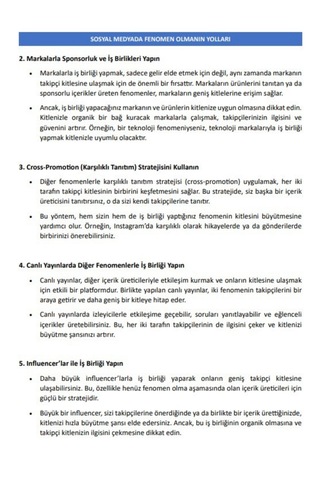 100 Adımda Fenomen Olmanın Yolları Kitabı