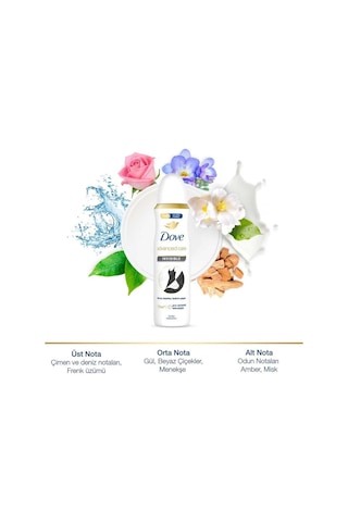 Invısıble Kadın Deodorant 150 ML