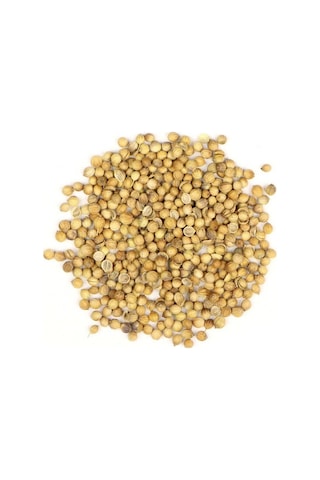 Kişniş Tohumu 100 Gr Kişniş Tohumu 100 Gr
