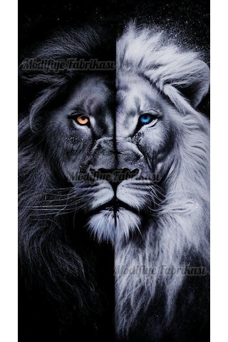 Araç Kapı Direği Kaplama Folyosu Uv Baskılı 2'li Set-aslan Desn