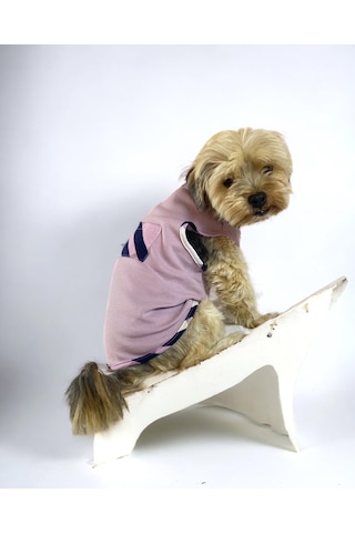 Light Purple Bb Atlet Köpek Kıyafeti Köpek Elbisesi