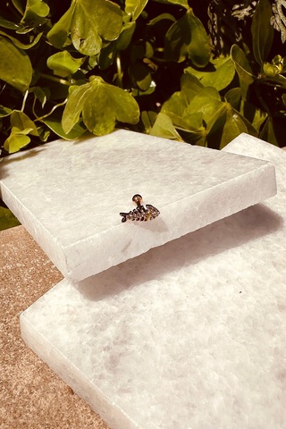 Balık Tasarım Özel Tasarım Rose Gold Renk Stainless Steel Çelik Tragus Helix Piercing