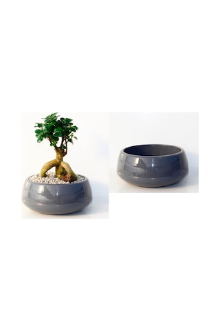 Bonsai Saksısı Antrasit 2 Lt - Drenaj Hazneli