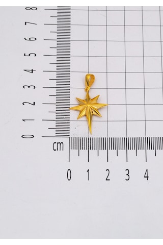 Bilezikci Kuzey Yıldızı 22 Ayar Altın Kolye Orta Boy Sarı Altın