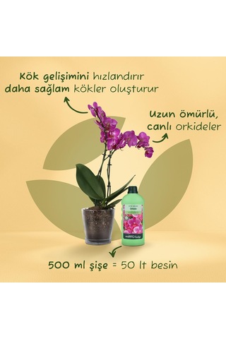 Lexroo Orkideler İçin Sıvı Bitki Besini 500 Ml