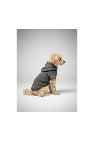Kapüşonlu Kedi Köpek Kıyafeti Sweatshirt Hoodie Evcil Hayvan Giysisi