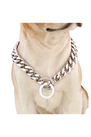 Köpek Tasması Köpek Boyun Tasması Zincir Tasma 66 Cm Paslanmaz Çelik
