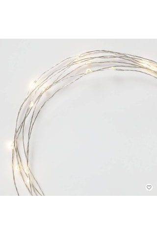 Petrix 50 Led Fairy String Light