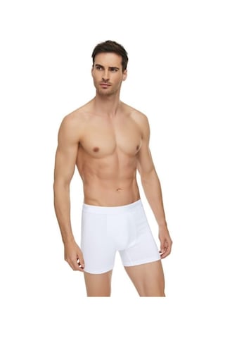 Tutku Elit 1251 Erkek Modal Elastan Boxer 10 Adet 001
