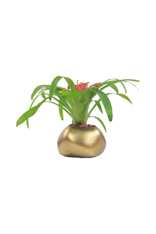 Saksı Çiçek Kaktüs Saksısı Lüx 14 Cm Elips Desen Saksı Çiçeklik - Altın Eskitme