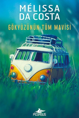 Gökyüzünün Tüm Mavisi
