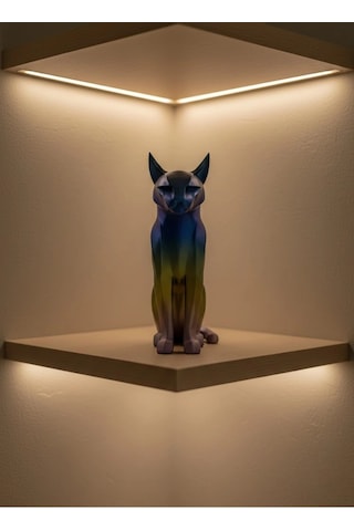 Koyu Rainbow Kedi