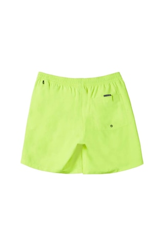 Quiksilver Everyday Solid Volley Yth 14 Çocuk Sarı Volley Short Sarı