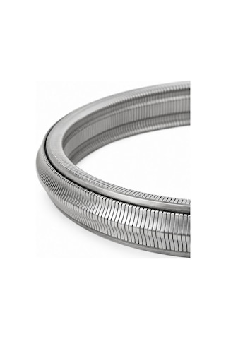 Brilluxa Metal Cvt Şanzıman Zincir Kayışı Oe:901066 901047 Re0f10a