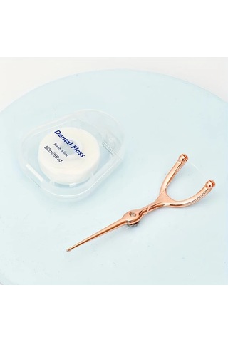 Willowhaven Paslanmaz Çelik Diş İpi Seti, Taşınabilir Yeniden Kullanılabilir Diş İpi Aparatı