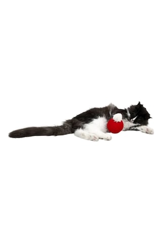 Kör Kediler İçin Çıngıraklı Kırmızı 10 CM Yumak Kedi Oyuncağı