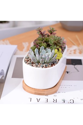 Jeehugo Beyaz Seramik Oval Sukulent Ve Kaktüs Saksısı, Bambü Tabaklı, Ev Ofis Masaüstü İçin, 2'li Set Saksı + Tabak , Bitki Yok