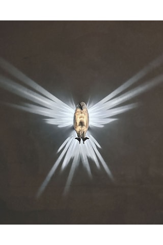 Kel Kartal Gece Lambası Beyaz