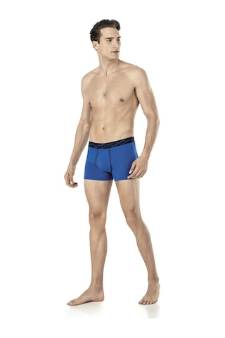 Pierre Cardin Erkek Pamuklu Saks-lacivert-gri 3 Lü Boxer Çok Renkli