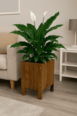 Saksı Ahşap Saksı Çiçeklik Dış Mekan Saksılık 0 - 1 Kg