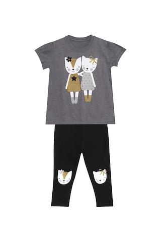 Denokids Kedi Dostlar Kız Çocuk T-shirt Tayt Takım Çok Renkli