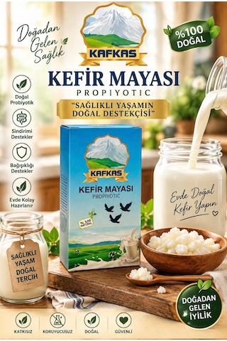 Kefir Mayası Kafkas Doğal Canlı Tane Maya Probiyotik