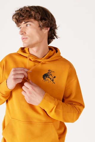 Wrangler Loose Fit Rahat Kesim Pamuk Kapüşonlu İçi Polarlı Sırt Baskılı Turuncu Sweatshirt W656I4H43 Hardal