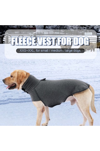 Vkemall Köpek Kışlık Sweatshirt: Yumuşak Yün İçi, Turtleneck, Isı Sağlar - Gri Xl Ya002m031