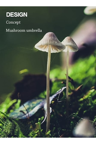 Simaavize Modern Black Led Aplik -gün Işığı Siyah