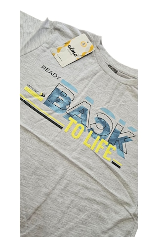 Almi Erkek Çocuk T-shirt Gri