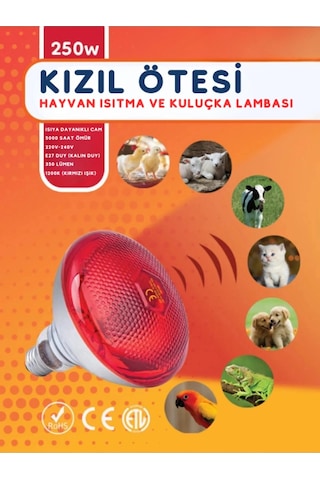 6 Adet 250w Kızılötesi Isıtıcılı Hayvan Isıtma Ve Kuluçka Lambası Kırmızı Işık E27 Kalın Duy 1