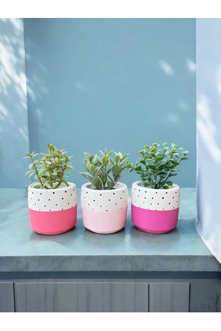 Renkli Saksı Seti Sukulent Kaktüs Dekoratif Eşya- Ev Dekorasyon - Saksı Seti 2