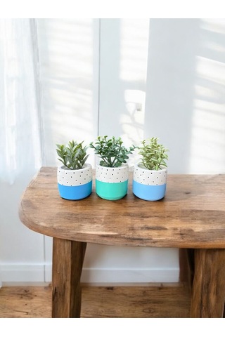 Renkli Saksı Seti Sukulent Kaktüs Dekoratif Eşya- Ev Dekorasyon - Saksı Seti 6