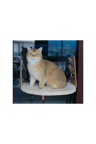 Vantuzlu Kedi Cam Yatağı - Krem