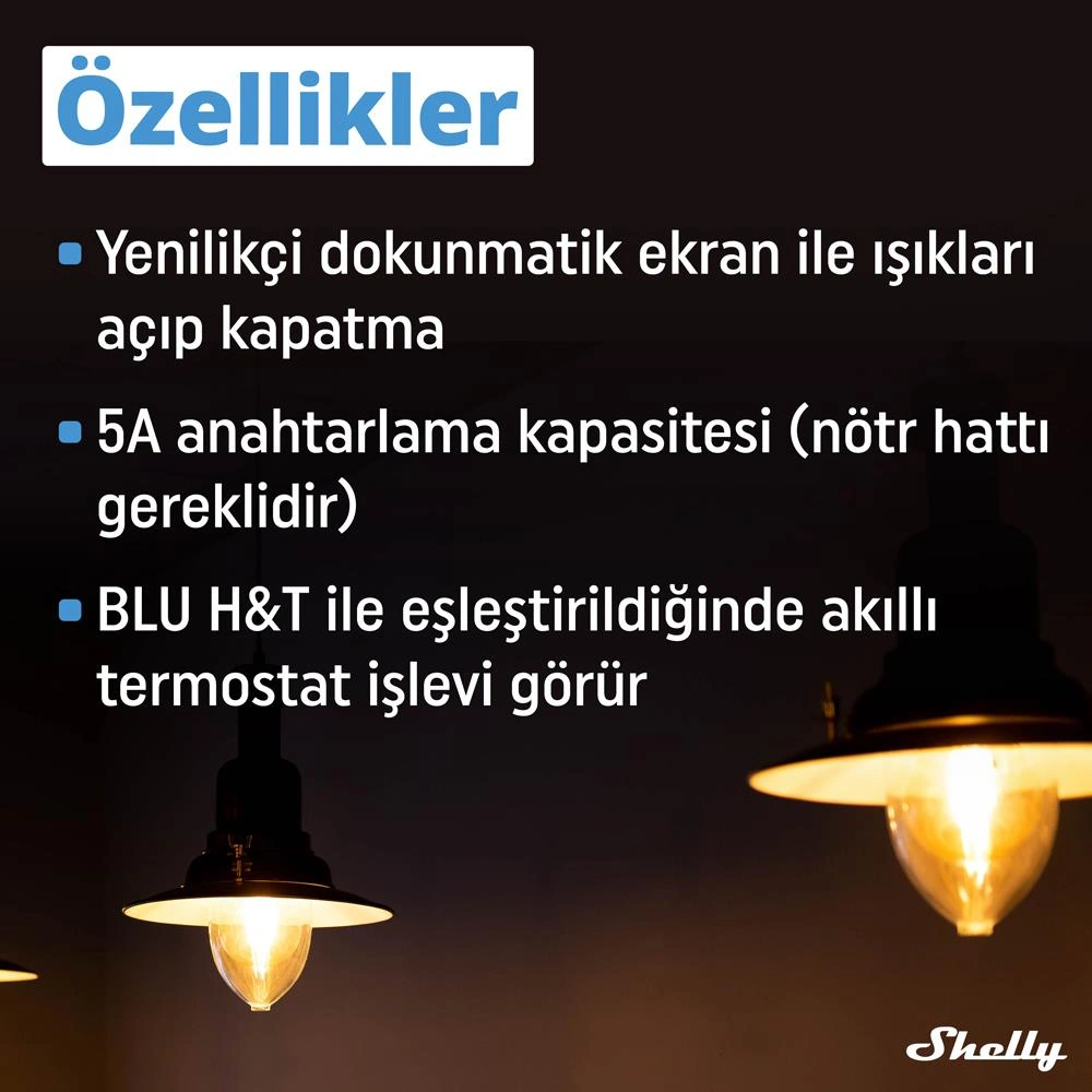 Shelly Wall Display & Blu H&t Siyah Merkezi Kontrol Panel Seti