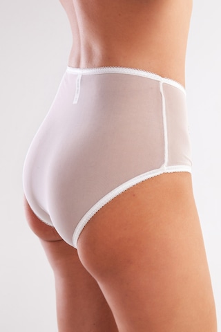 Golshan Gaspara Control Slip, Kadın Güpürlü Tül Ekru Renkyüksek Bel Külot Çok Renkli