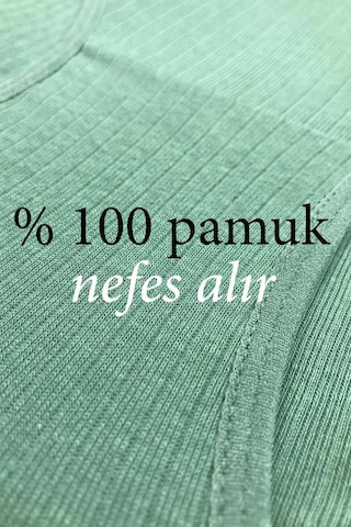 4 Adet Kadın Yüksek Bel Ribana Bato Külot S102 Çok Renkli