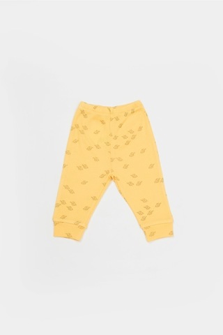 BabyCosy Organik Modal Fil Baskılı 3 Lü Set 001