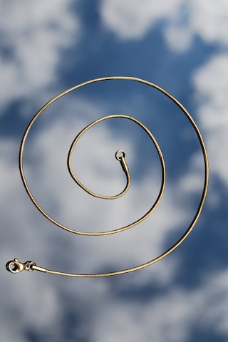 Rua Jewelry Yuvarlak Yılan Model Zincir Paslanmaz Çelik Kolye Altın 1 M
