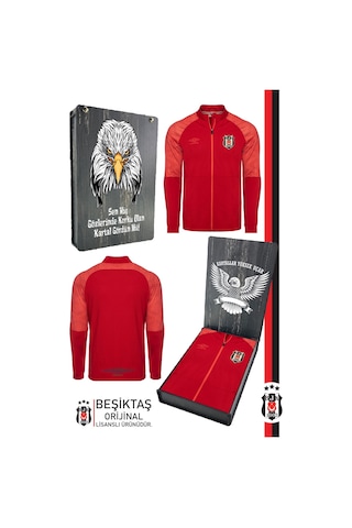 Beşiktaş Lisanslı Fermuarlı Dik Yaka Cepli Sweat Kutulu 001