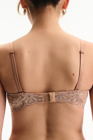 Penti Bej Bloom Lace Dantel Balenli Sütyen