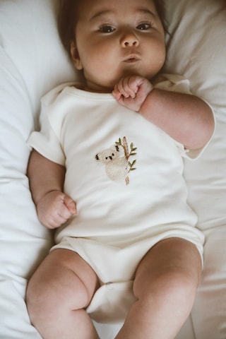 3lü Nakışlı Çıt Çıtlı Kısa Kollu Body Zıbın Model 1 Beyaz