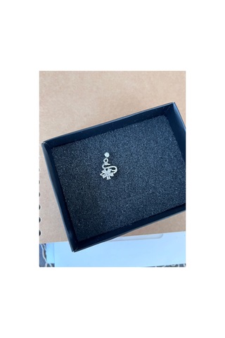 Kuğu Piercing Gümüş
