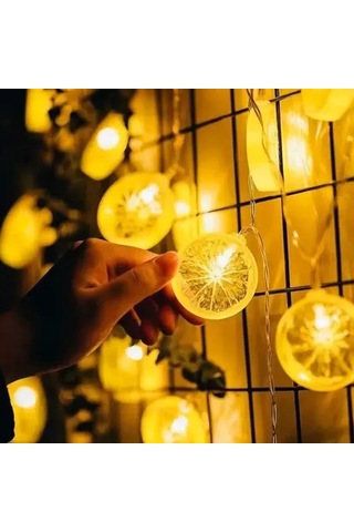 2m 10 Led Pilli Limon Işık