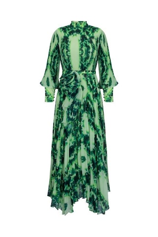 Senna Chıcory Dress Yeşil Yeşil