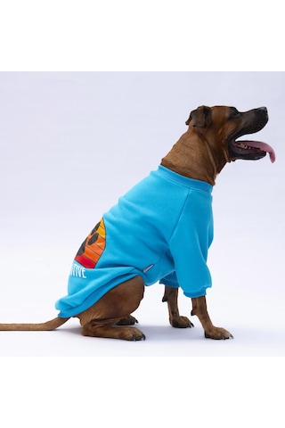Turkuaz Carmel Büyük Irk Köpek Sweat-köpek Kıyafeti