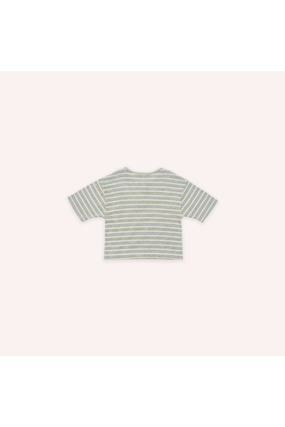 Panço Erkek Çocuk Çizglii T-shirt Ekru