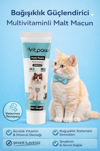 Vitpaw Multi Paste 100 G